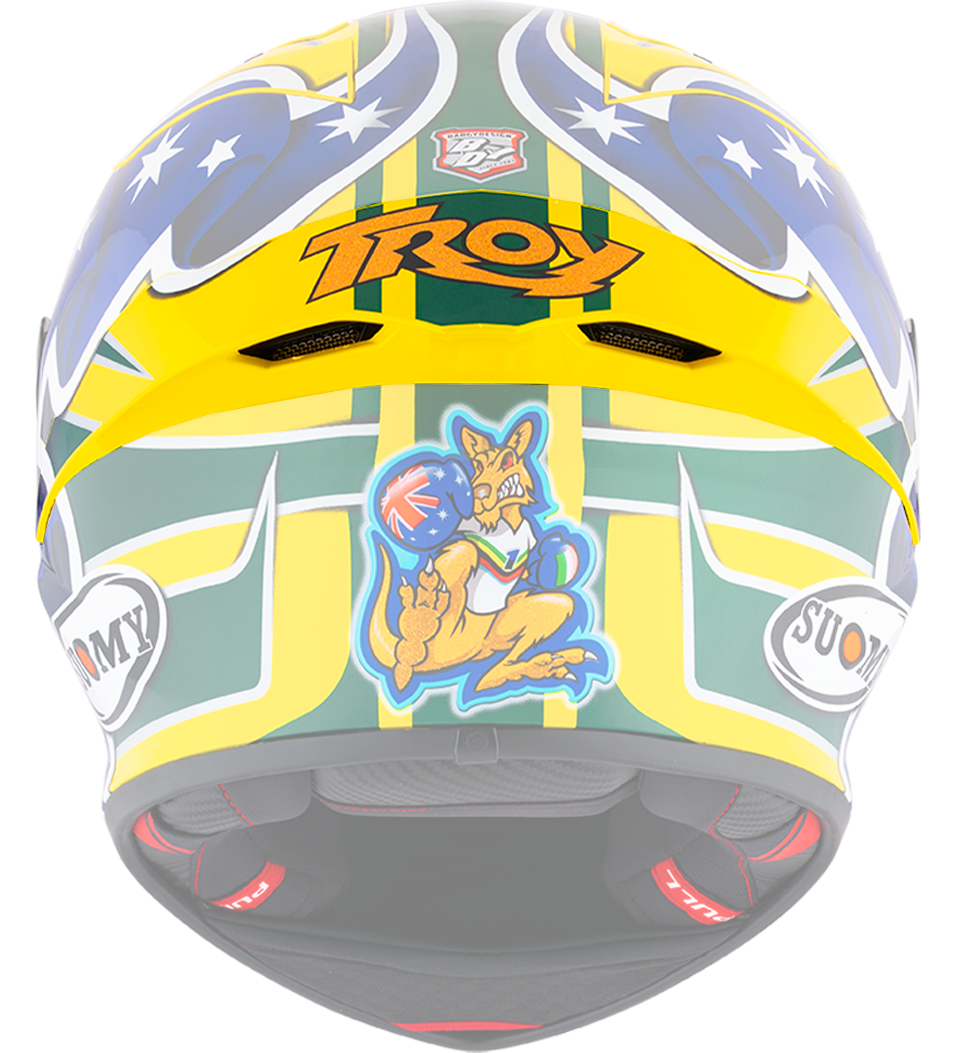 S1-XR GP SPOILER TROY BAYLISS REPLICA