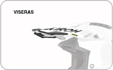 VISERAS