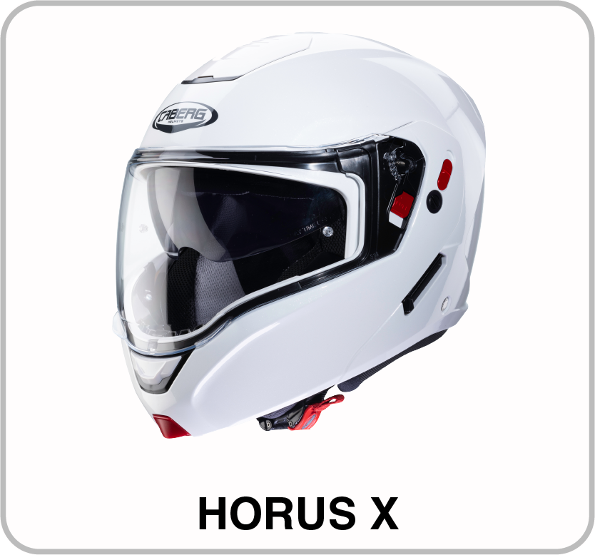 HORUS_X