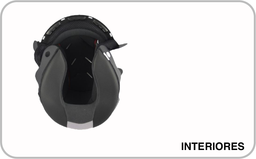 INTERIORES_DUKE_EVO